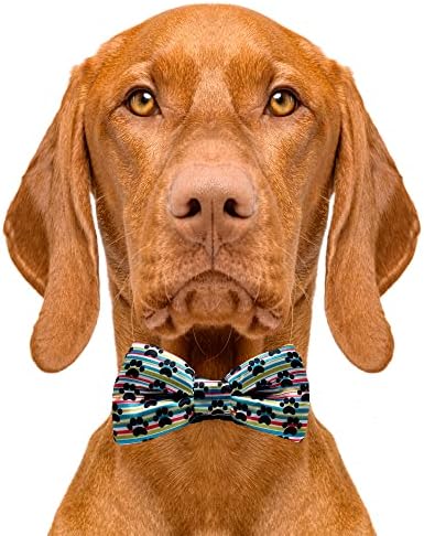 Cutie kravate za pse luk crnog suncokreta-2 X 4 Kvalitetne veze za pse za pse-fantastična pse sa klizanjem preko elastičnih bendova-slatka