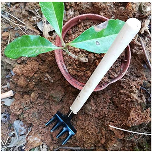 Abaodam 3pcs na hortikulturni alat za hortikulturni alat za sadnju sočnih biljaka