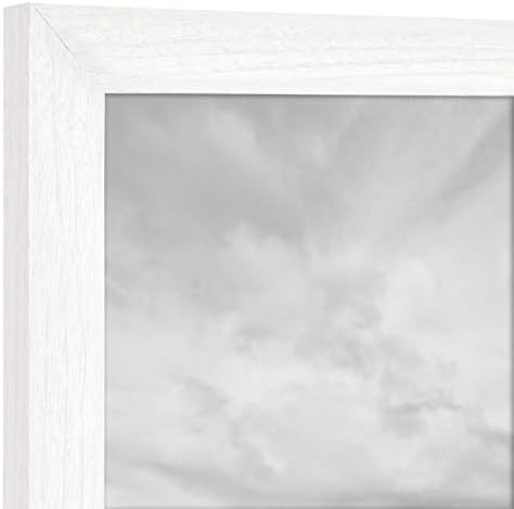 MCS Studio Galerija okvir, Bijela Woodgrain, 8 x 10 in, 4 pk