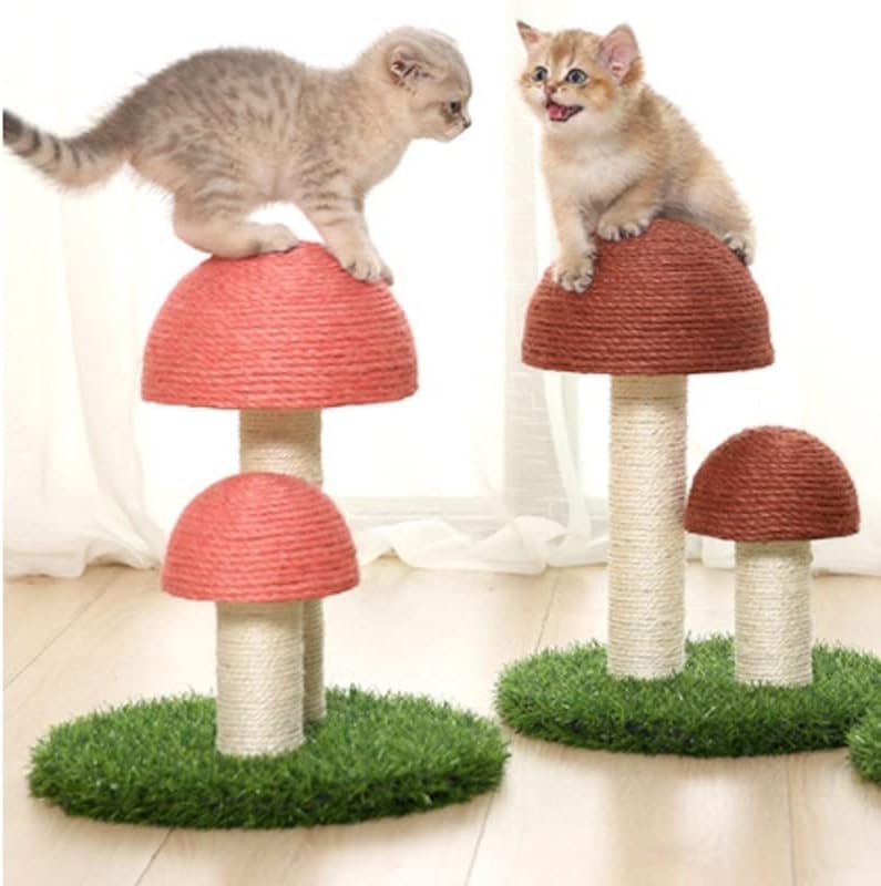 LEPSJGC cactus igračka za kućne ljubimce Mačke sa loptom za grebanje mačka Mačić penjanje na Mushroom Condo