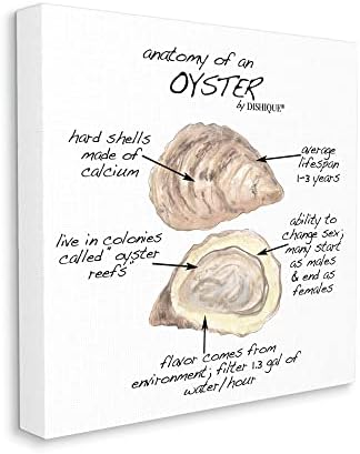 Stupell Industries Oyster Marine Life Anatomy Facts obrazovni dijagram, dizajn Dishique