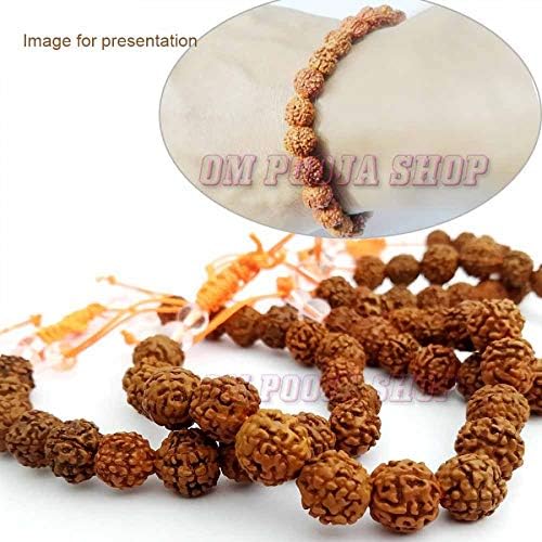 OM Pooja Shop Shiv Rudraksha narukvica - podesiv