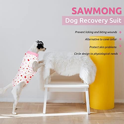Sawmong odijelo za pse, odijelo za oporavak za pse nakon operacije, pseće kirurgično odijelo za ženske pse, pasa Onesie tijelo za