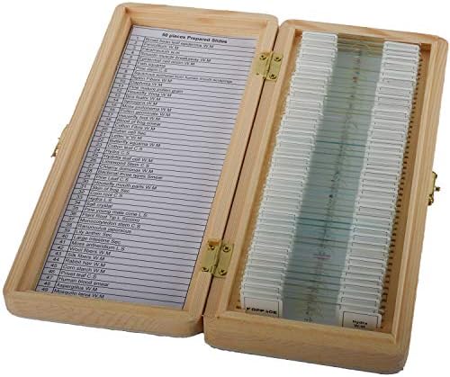 KOPPACE 50 kriške biološkog tkiva slajdovi Drvena kutija pakovanje za osnovne biološke nauke obrazovanje mikroskop biološki