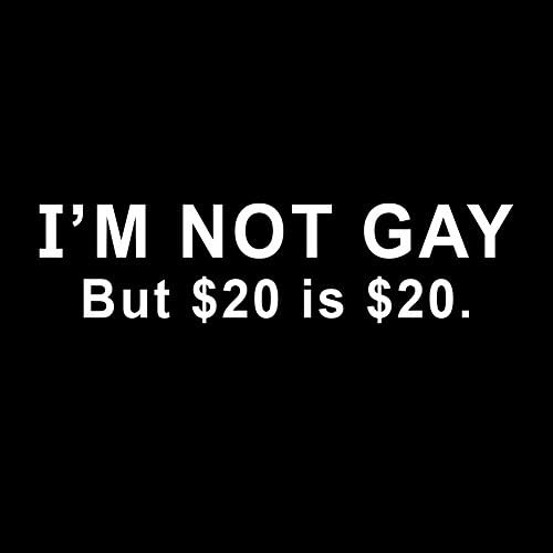 Nisam gej, ali 20 dolara je dvadeset dolara smiješno 6 naljepnica naljepnica vinila