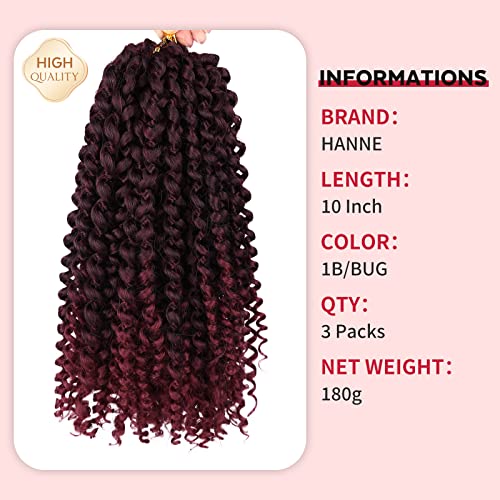 HANNE Afro Kinkys kovrčava kosa pletenica kovrčava kosa 3x Heklana kosa pletena Jerry Curl Sintetička ekstenzija kose za crne žene