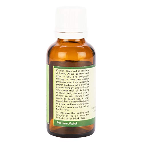 Gurjum balsam esencijalno ulje | DipteroCarpus turbinatus | Gurjum balsam ulje | Gurjun balsam ulje | čisto prirodno | Parna