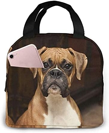 SHENGBAO, torba za ručak Boxer kutija za pseći ručak izolovana torba Tote Bag za muška Radna putovanja, jedna veličina