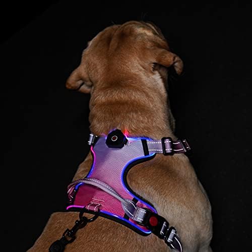 LED svjetlo za pse: USB punjiva užarena vodootporna Reflektirajuća Reflektirajuća bez povlačenja Podesiva Oksfordska prsluka s jednostavnom