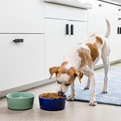 Waggo jednostavna čvrsta keramička posuda za pse za male, srednje, velike pasmine, mikrovalna pećnica i posuda za pranje u mašini