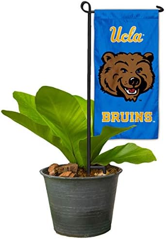 Bruins mini vrt i cvjetni lonac za zastavu