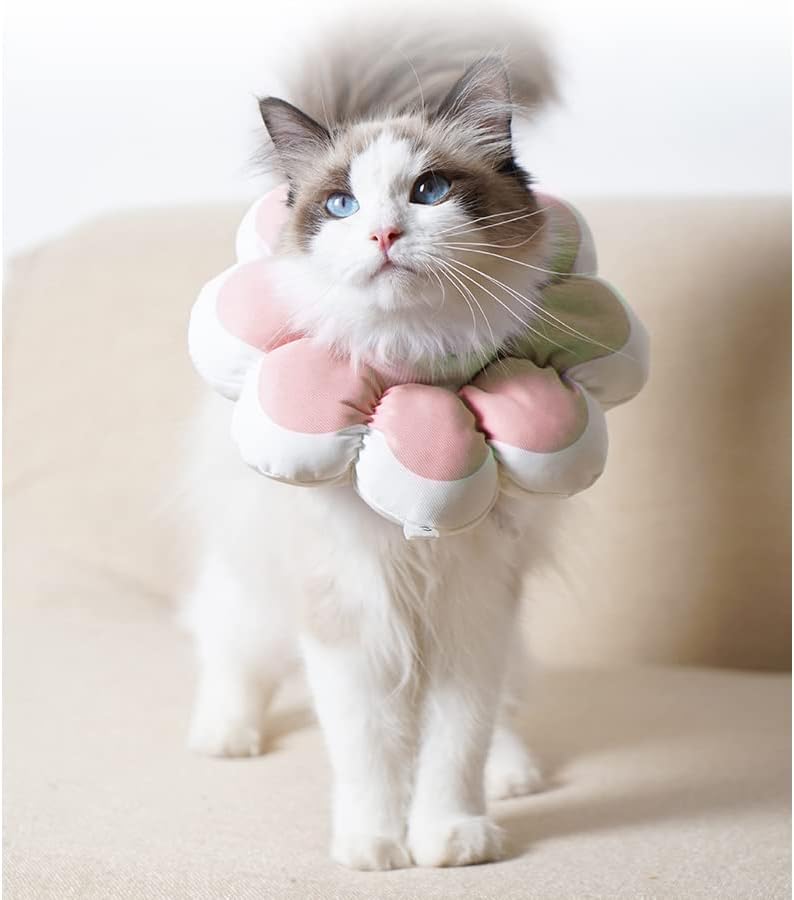 Shiaomin CAT Recovery Cone ovratnik za kućne ljubimce Elizabetan ovratnik nakon operacije Oporavak kućnog ljubimca za mačju štene