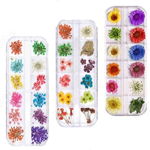Podignite trake za usta pribor za nokte 12 grid Box manikura suhi cvijet ručno rađeni DIY flaster za nokte suhi cvijet vezeni Snowball