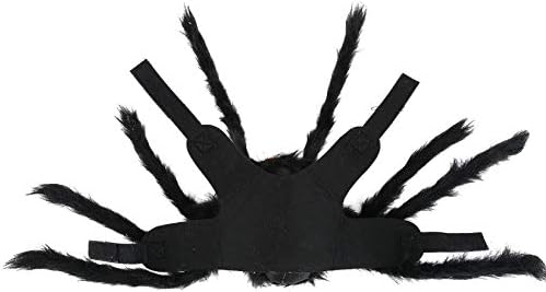 Zunea pas Halloween CoustUME Furry Spider kabelske kućne outfits party hoilday ukras za haljinu odjeću zabavna štenadska tema Partija