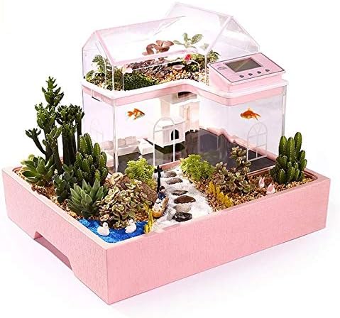 N / Kreativni akvarijum mali akvarijum ekološka dekoracija doma dijete dijete DIY sukulenti princeza kućni vrt