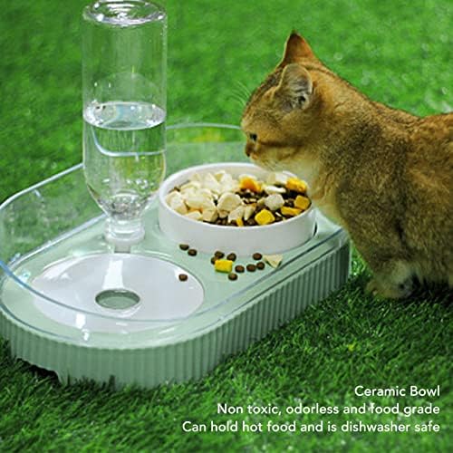 CAT BOWLS Jednostavno čišćenje Slatka posuda za kućne ljubimce i posudu za vodu Podesite ceramičku posudu Health Health Health Cat